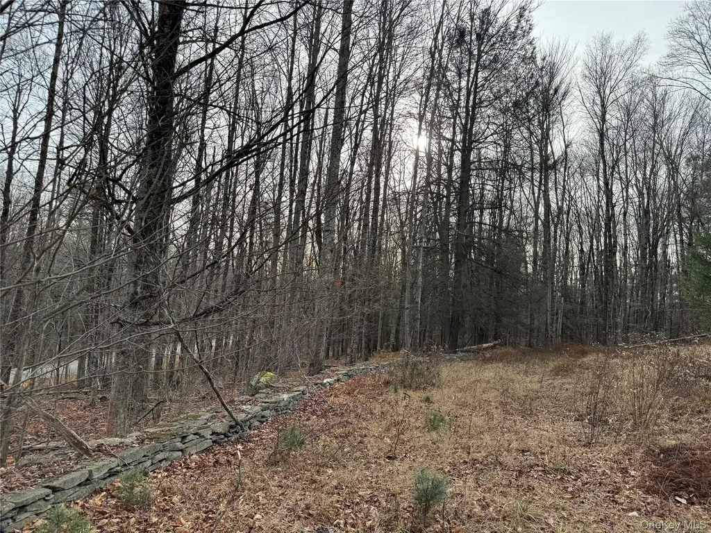 Hilltop Road Monticello NY 12701