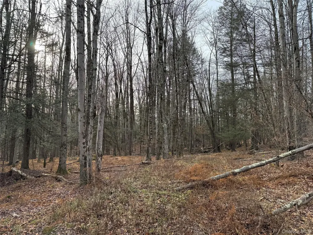 Hilltop Road Monticello NY 12701