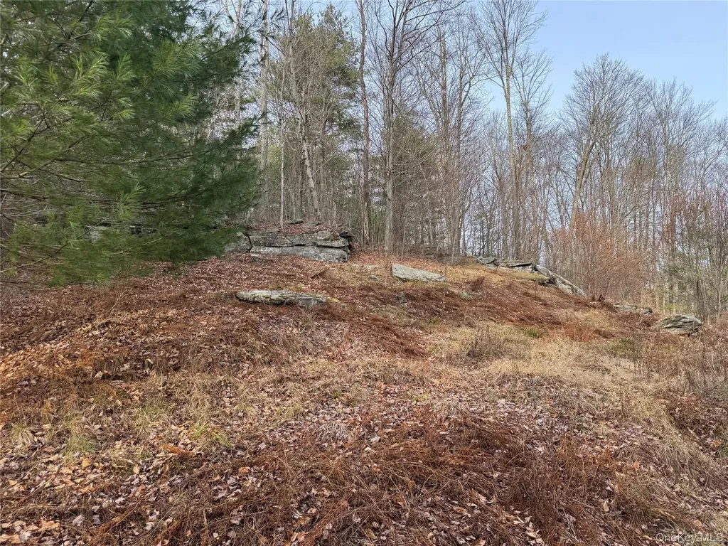 Hilltop Road Monticello NY 12701