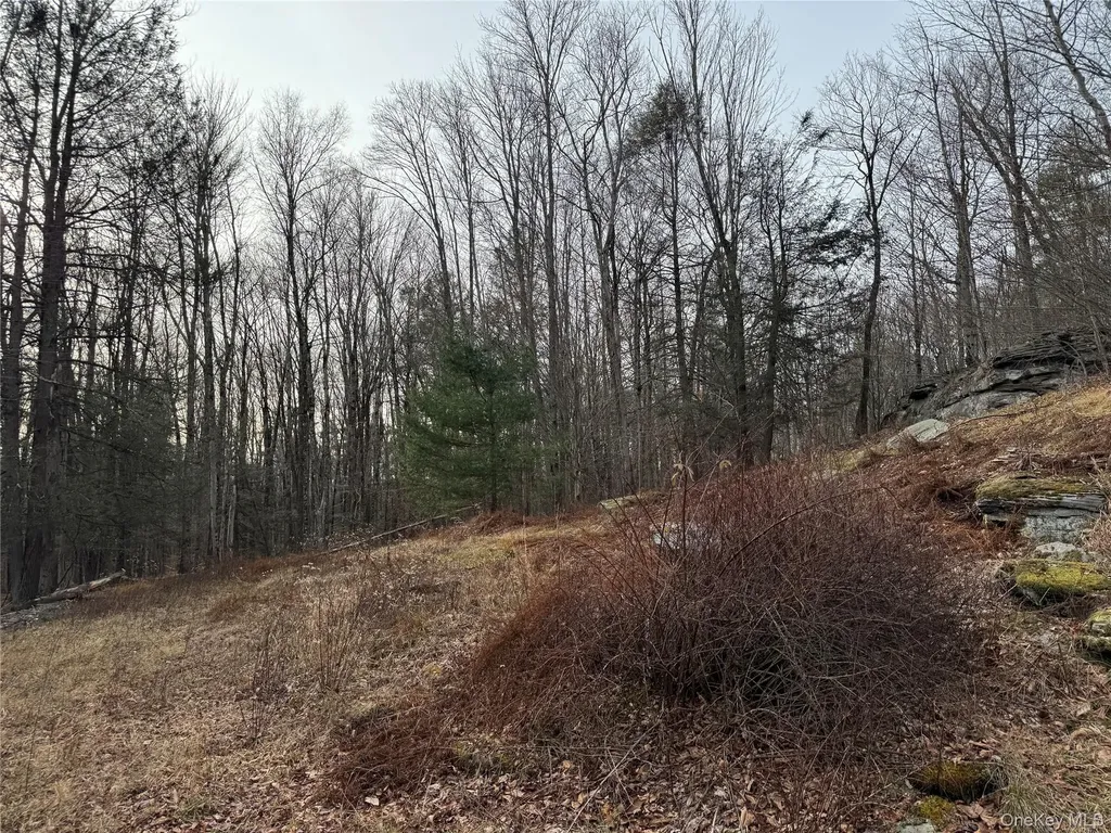 Hilltop Road Monticello NY 12701