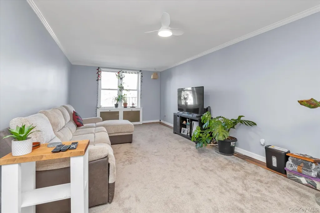 44-20 Douglaston Parkway Douglaston NY 11363