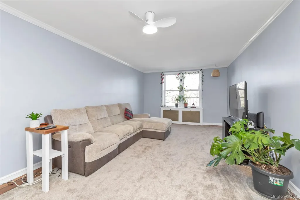 44-20 Douglaston Parkway Douglaston NY 11363