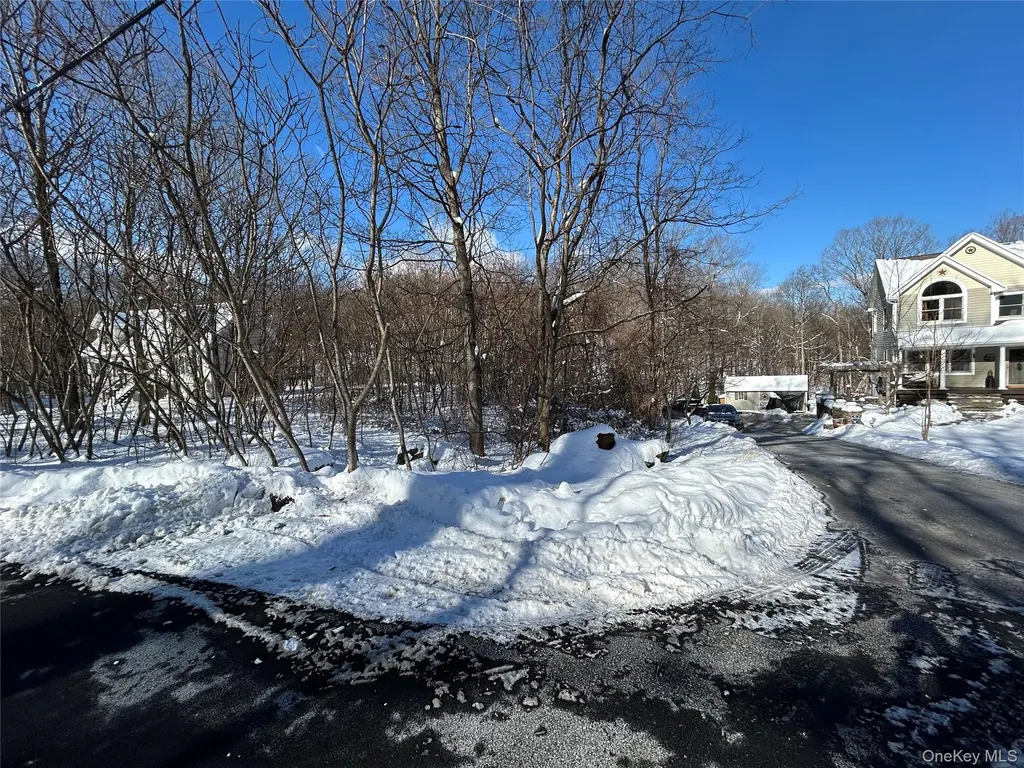 20 Hickory Lane Pawling NY 12564