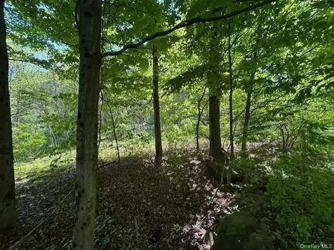20 Hickory Lane Pawling NY 12564