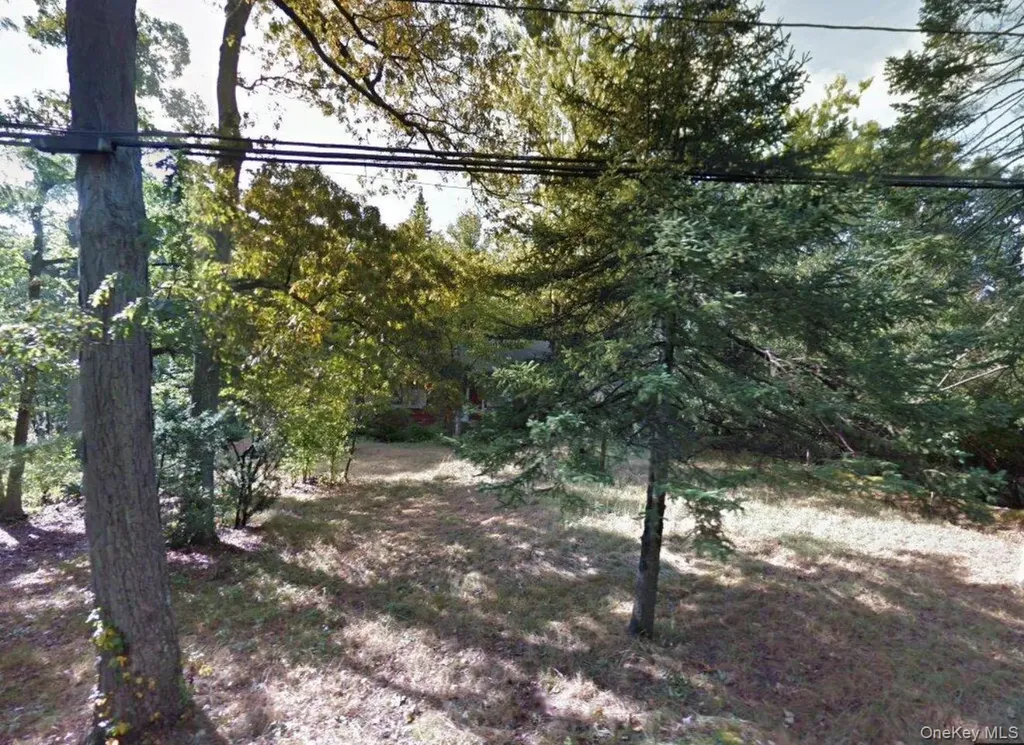 48 Ormond Street Dix Hills NY 11746
