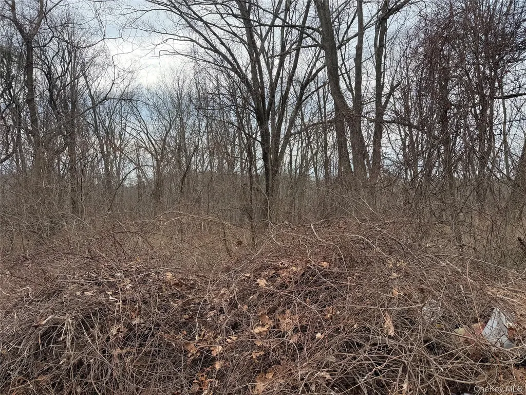 165 Fairfield Drive Brewster NY 10509