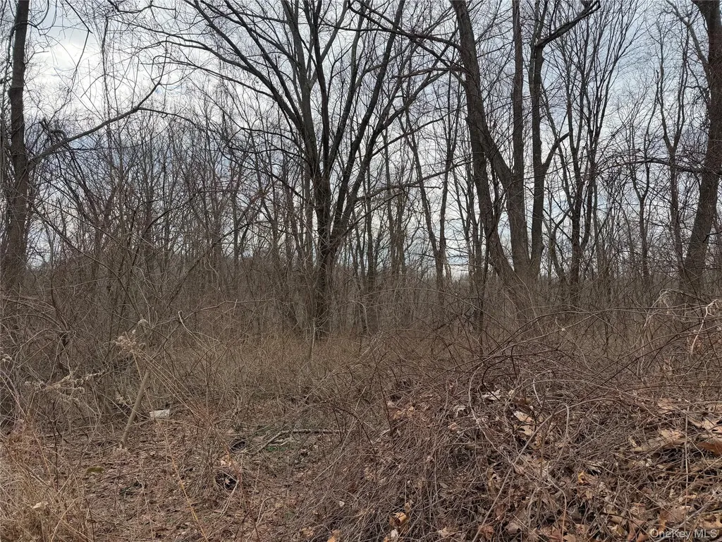 165 Fairfield Drive Brewster NY 10509