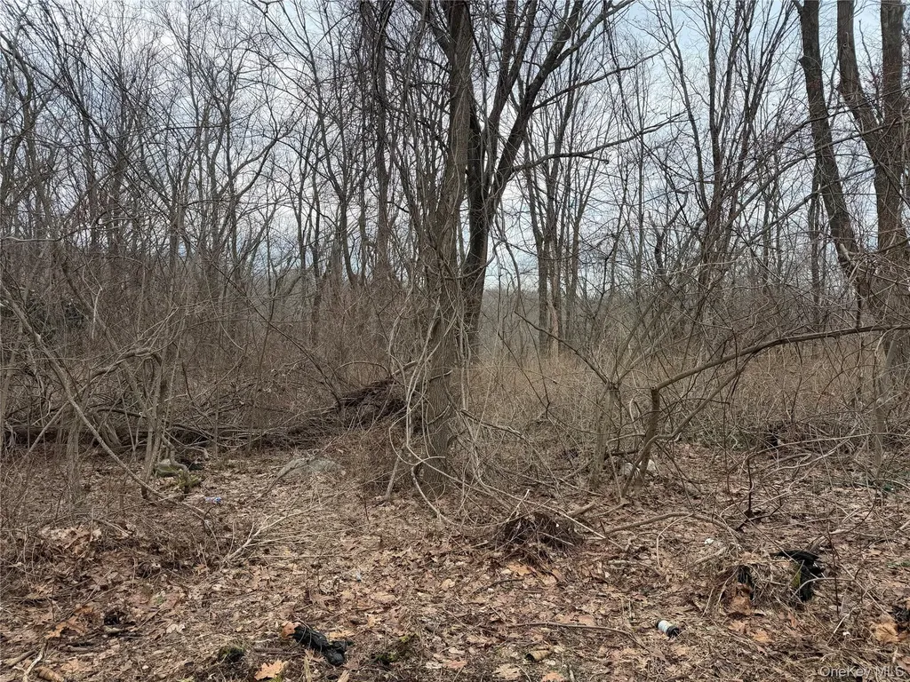 165 Fairfield Drive Brewster NY 10509
