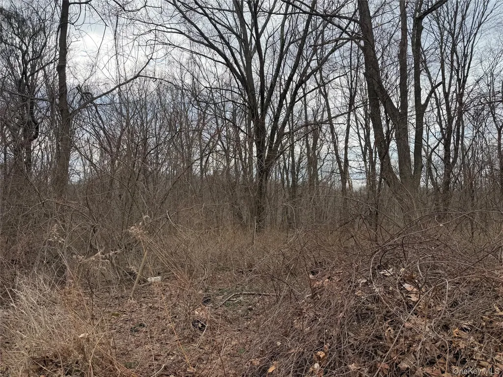 165 Fairfield Drive Brewster NY 10509