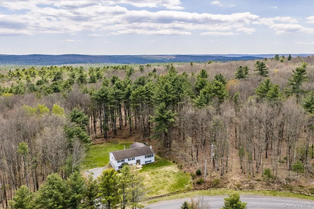 87 Airport Road Eldred NY 12732