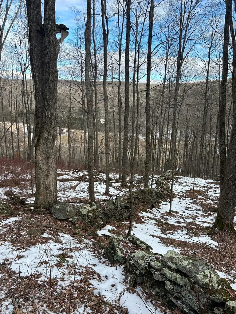 58 County Hwy 36 Kelly Corners-denver-vega Road Margaretville NY 12445