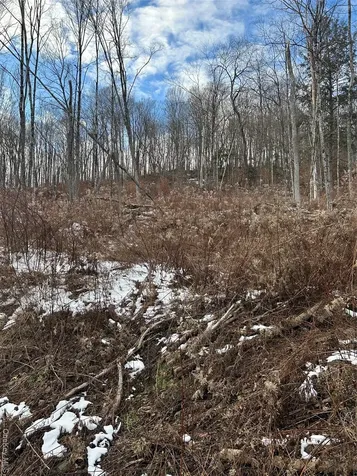 58 County Hwy 36 Kelly Corners-denver-vega Road Margaretville NY 12445
