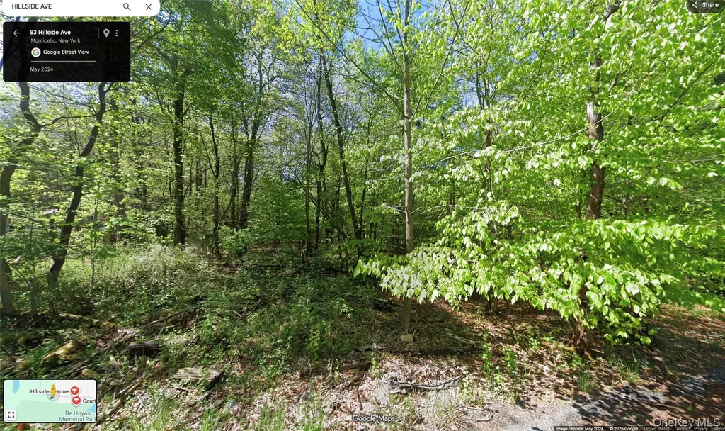 83 Hillside Avenue Monticello NY 12701