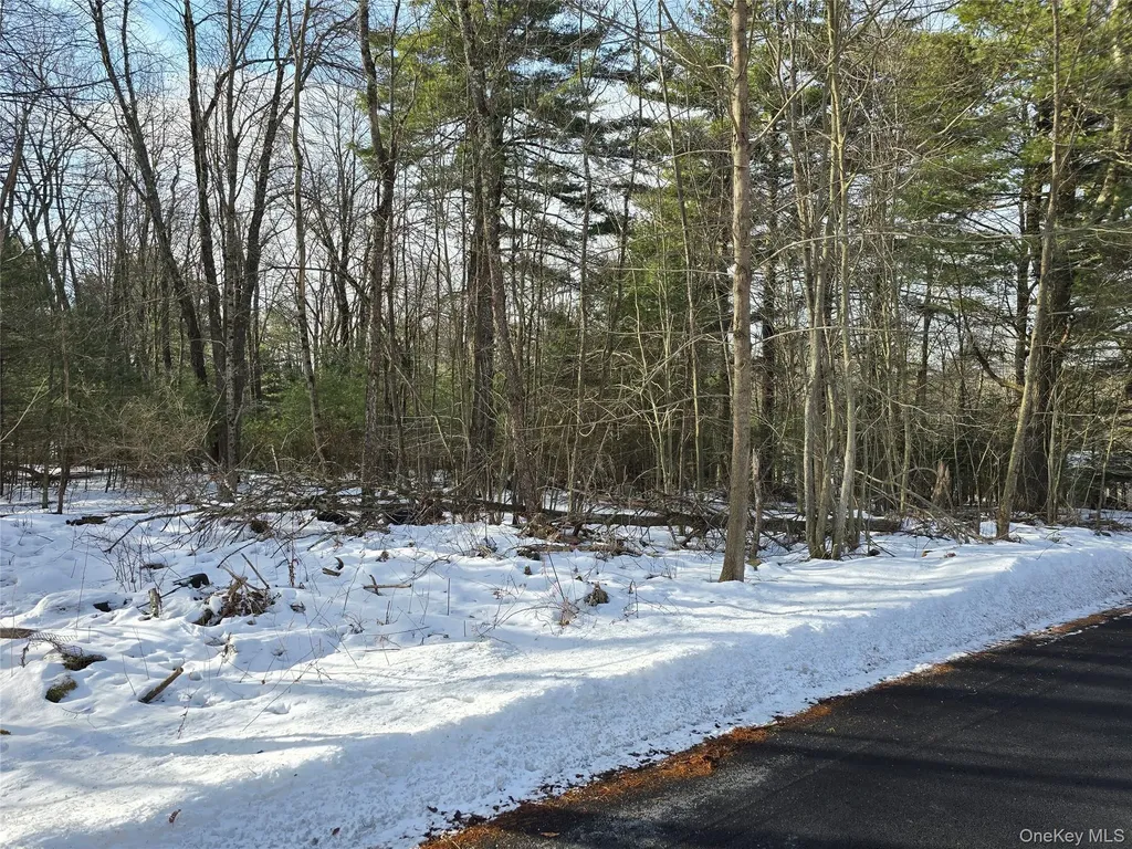 83 Hillside Avenue Monticello NY 12701