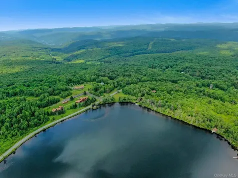 Lot 9 Wood Lake Trail Roscoe NY 12736
