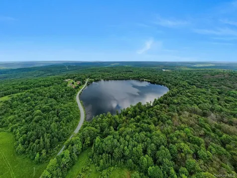LOT 9 Wood Lake Trail Roscoe NY 12736