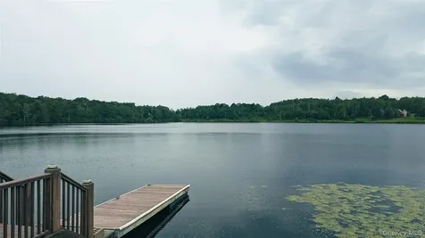 Lot 9 Wood Lake Trail Roscoe NY 12736