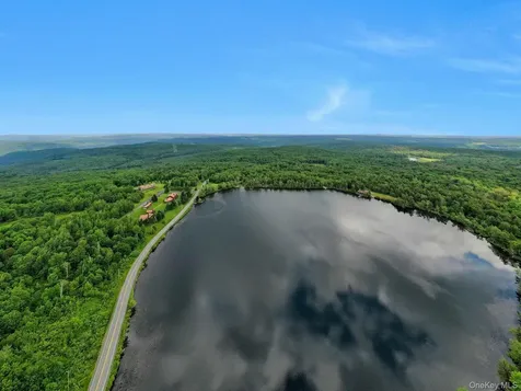 Lot 9 Wood Lake Trail Roscoe NY 12736