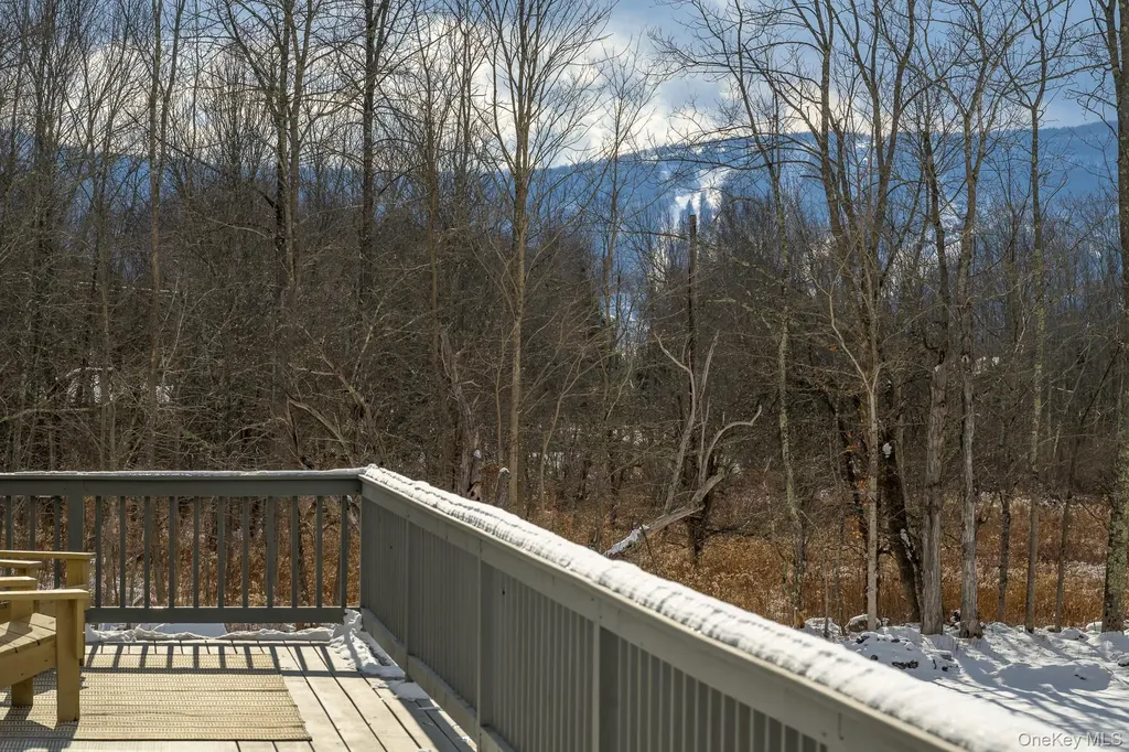 305 Mitchell Hollow Road Windham NY 12496