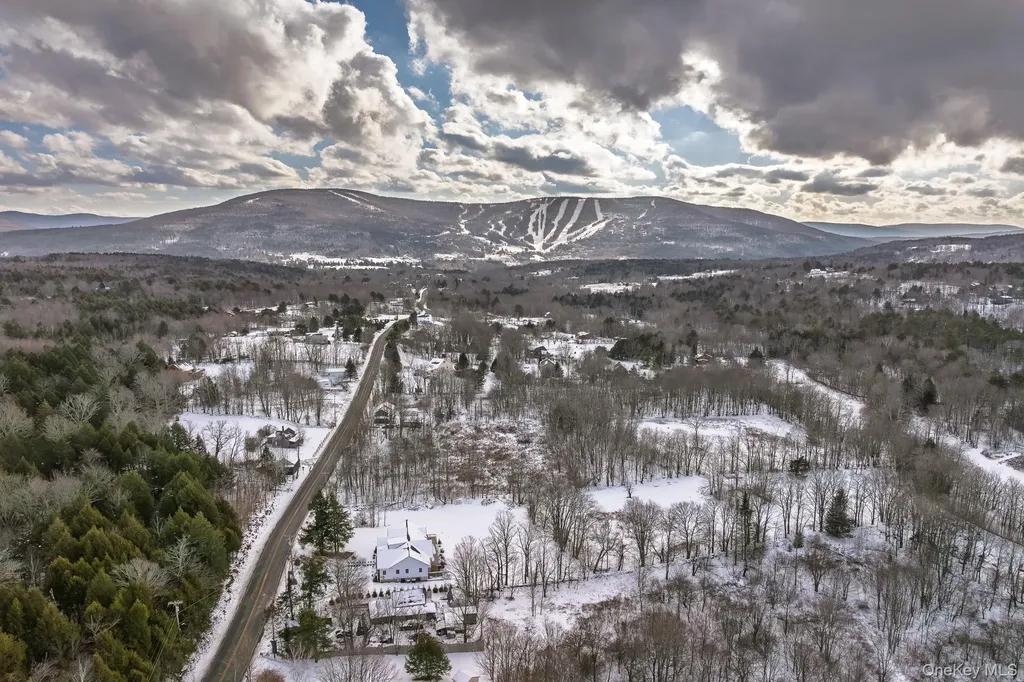 305 Mitchell Hollow Road Windham NY 12496