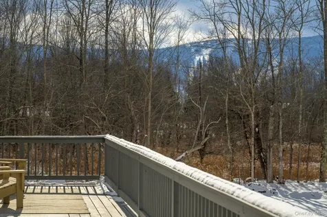 305 Mitchell Hollow Road Windham NY 12496