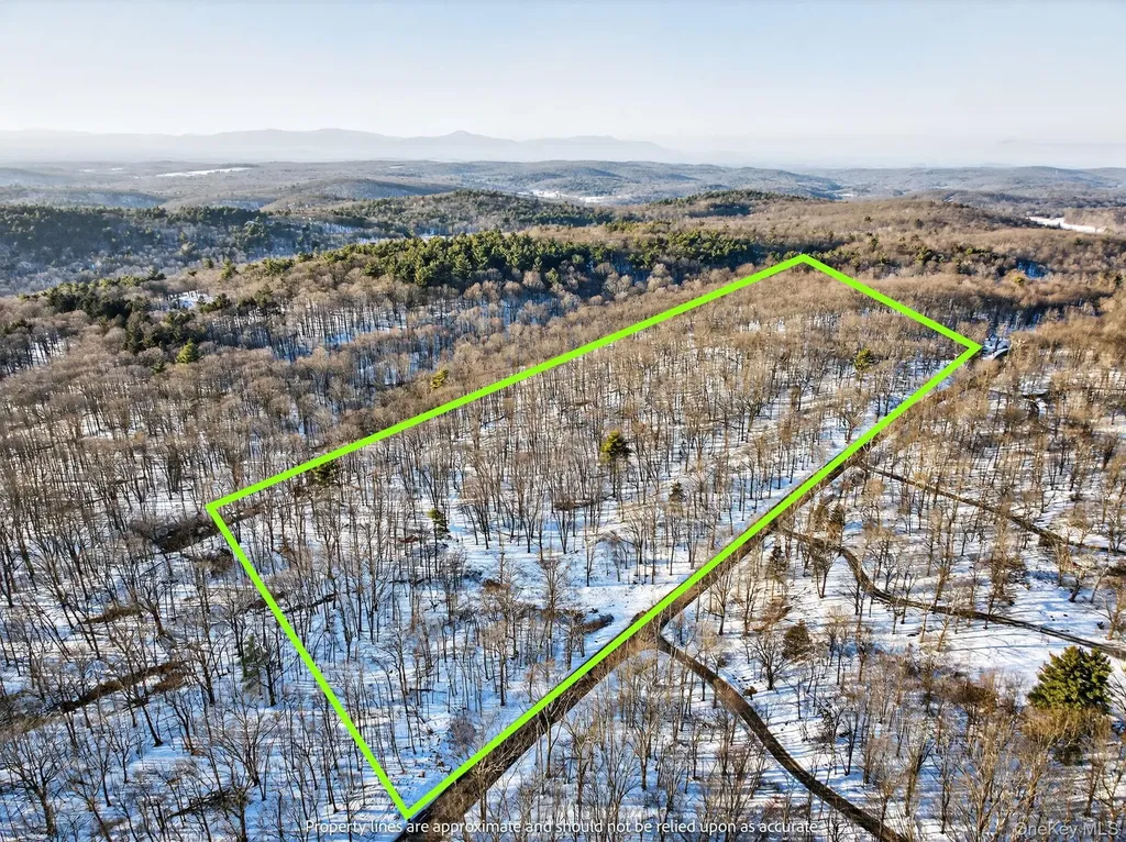 Tbd Hicks Hill Road Pine Plains NY 12401