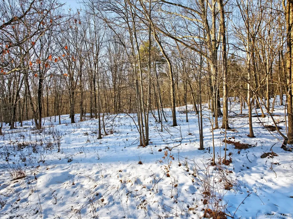 Tbd Hicks Hill Road Pine Plains NY 12401