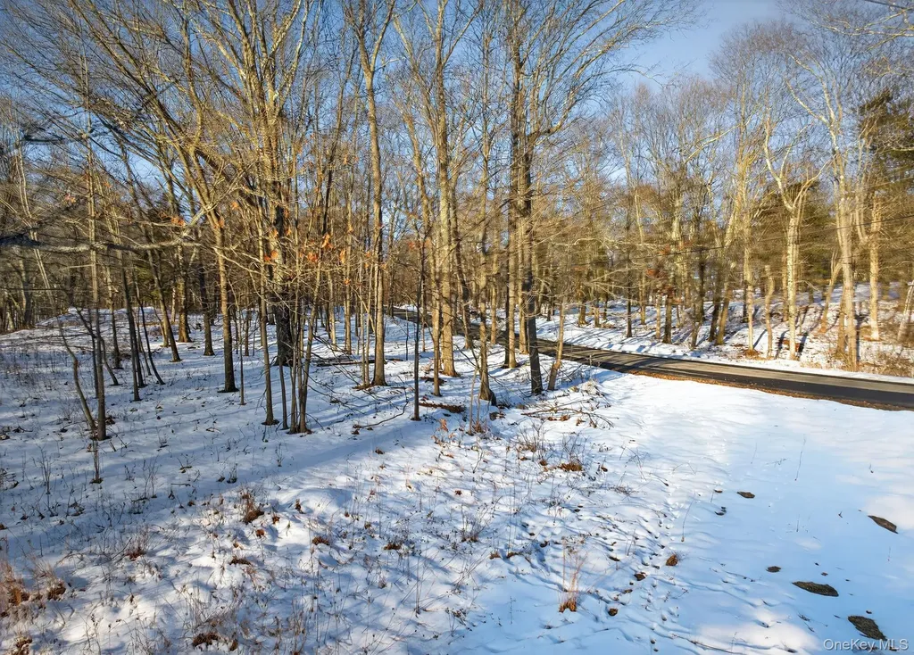 Tbd Hicks Hill Road Pine Plains NY 12401