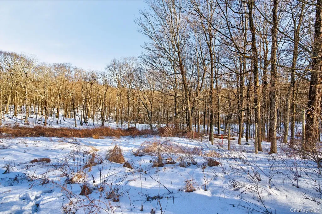 Tbd Hicks Hill Road Pine Plains NY 12401