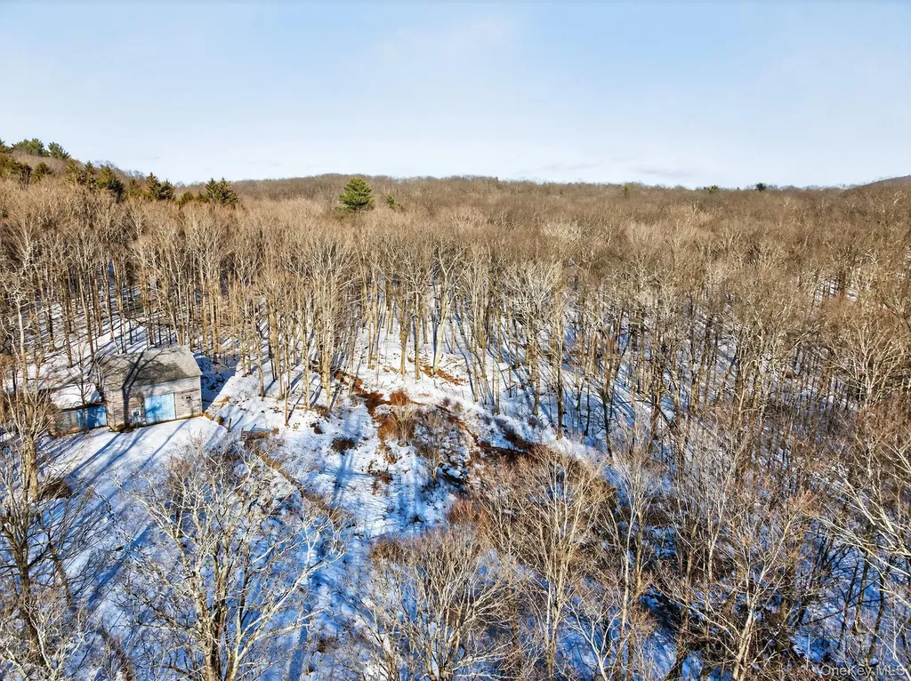 Tbd Hicks Hill Road Pine Plains NY 12401