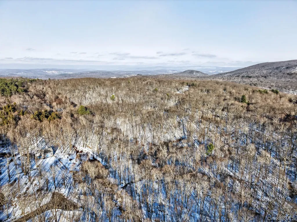Tbd Hicks Hill Road Pine Plains NY 12401
