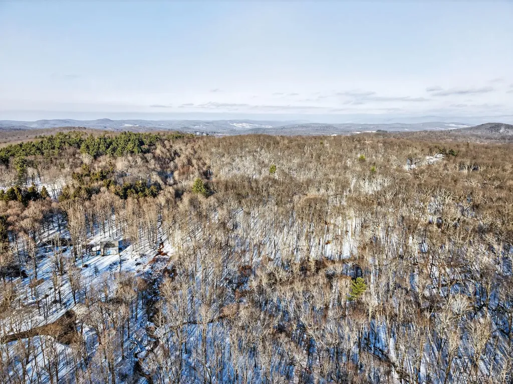 Tbd Hicks Hill Road Pine Plains NY 12401
