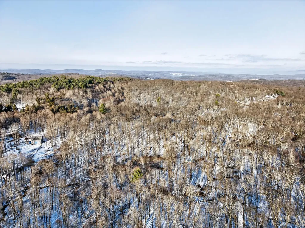 Tbd Hicks Hill Road Pine Plains NY 12401