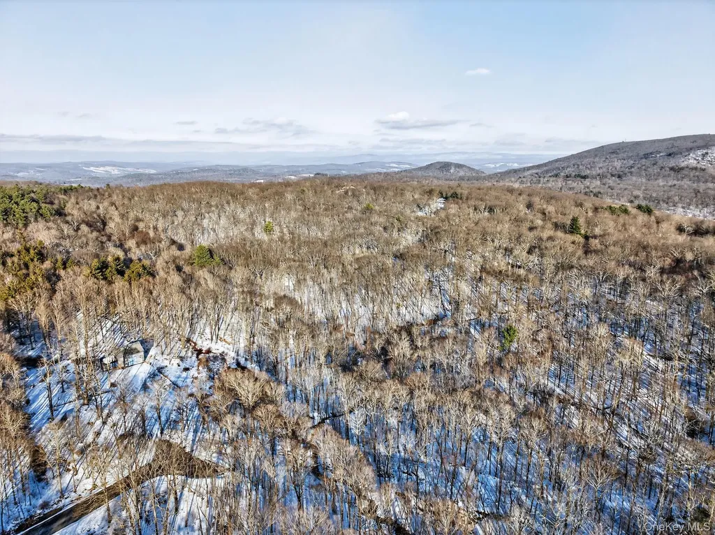 Tbd Hicks Hill Road Pine Plains NY 12401