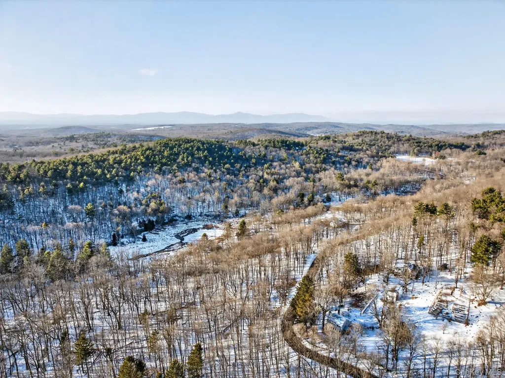 Tbd Hicks Hill Road Pine Plains NY 12401