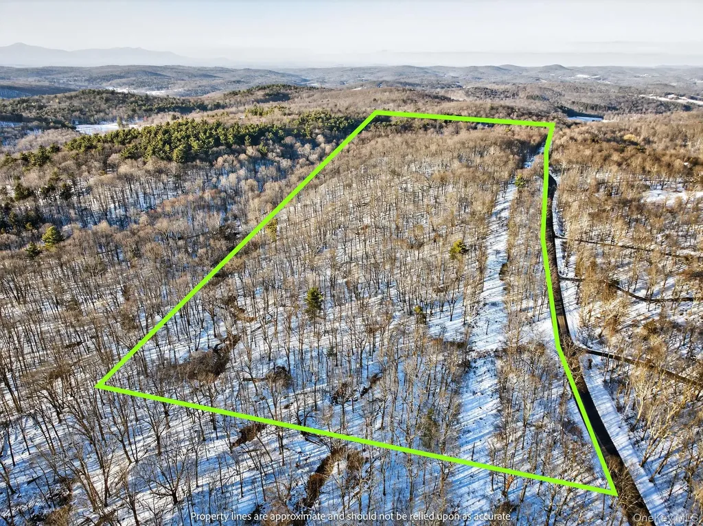 Tbd Hicks Hill Road Pine Plains NY 12401