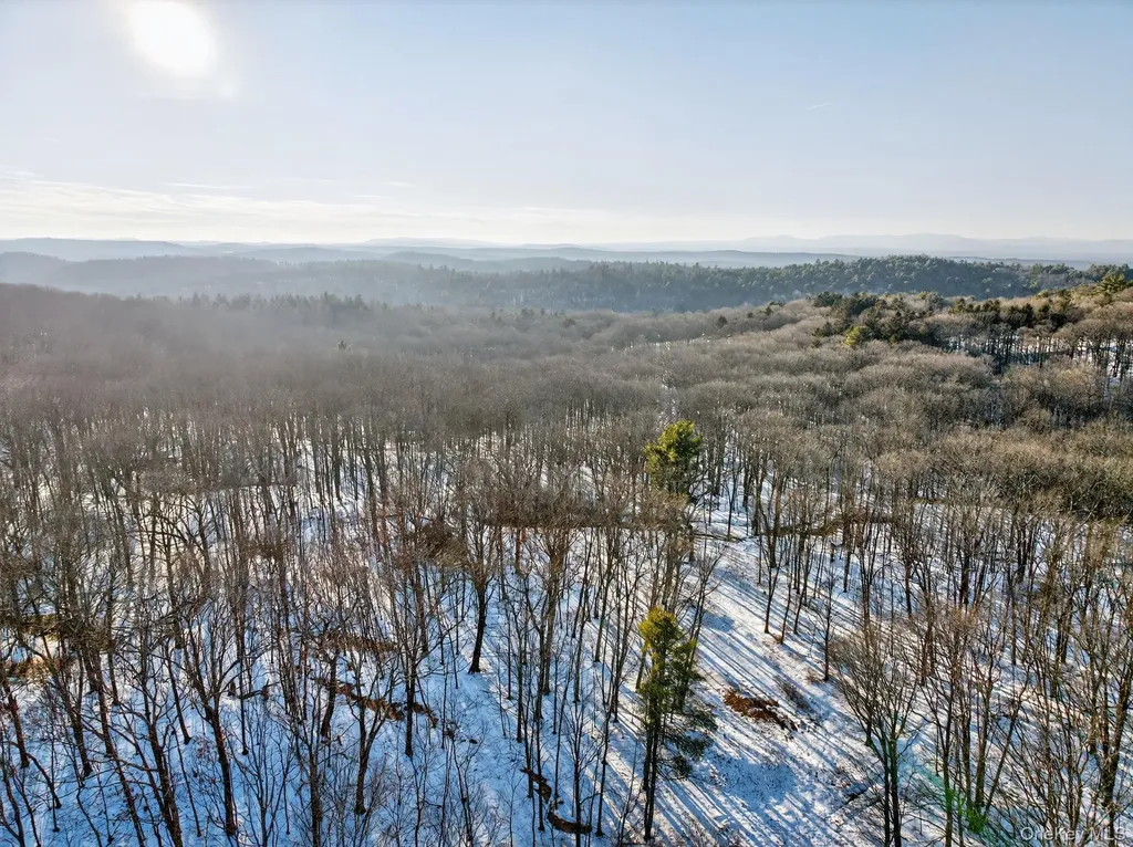 Tbd Hicks Hill Road Pine Plains NY 12401