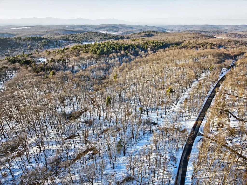 Tbd Hicks Hill Road Pine Plains NY 12401