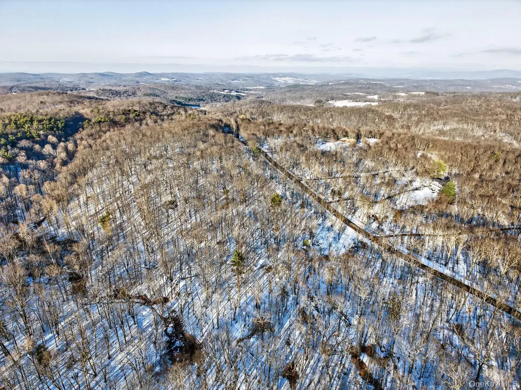 Tbd Hicks Hill Road Pine Plains NY 12401