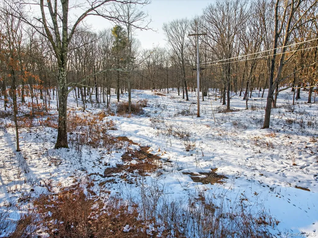 Tbd Hicks Hill Road Pine Plains NY 12401