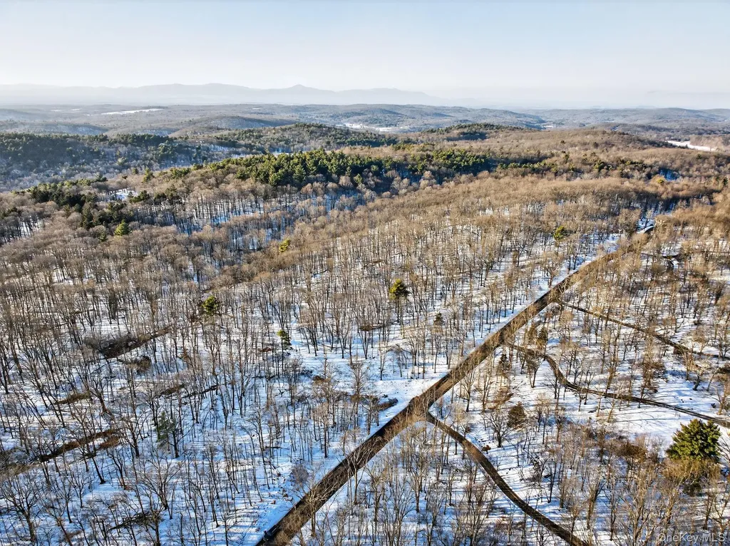 Tbd Hicks Hill Road Pine Plains NY 12401