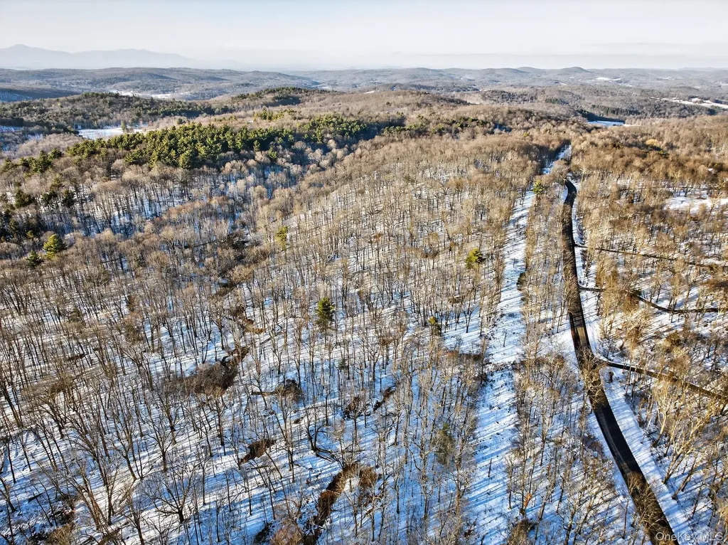 Tbd Hicks Hill Road Pine Plains NY 12401