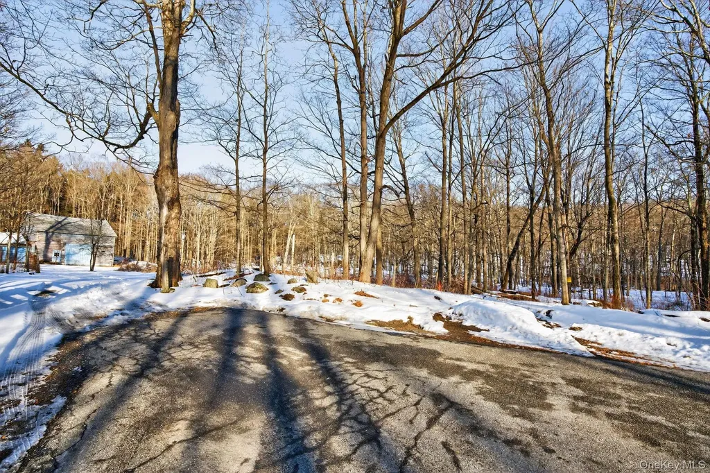 Tbd Hicks Hill Road Pine Plains NY 12401
