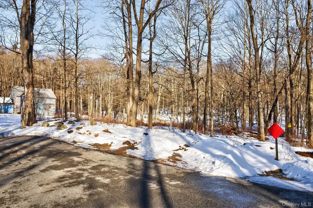 Tbd Hicks Hill Road Pine Plains NY 12401