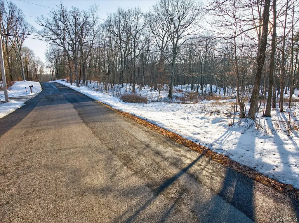 Tbd Hicks Hill Road Pine Plains NY 12401