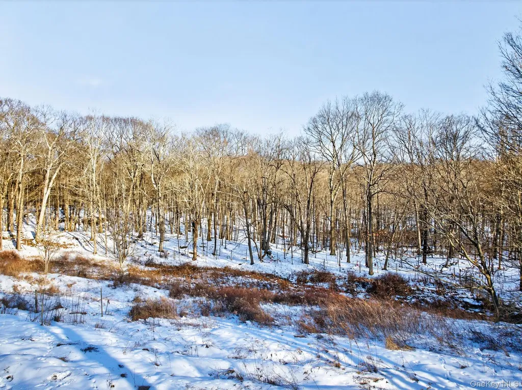 Tbd Hicks Hill Road Pine Plains NY 12401