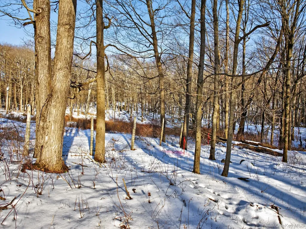Tbd Hicks Hill Road Pine Plains NY 12401