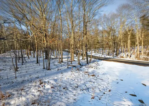 Tbd Hicks Hill Road Pine Plains NY 12401