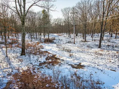 Tbd Hicks Hill Road Pine Plains NY 12401