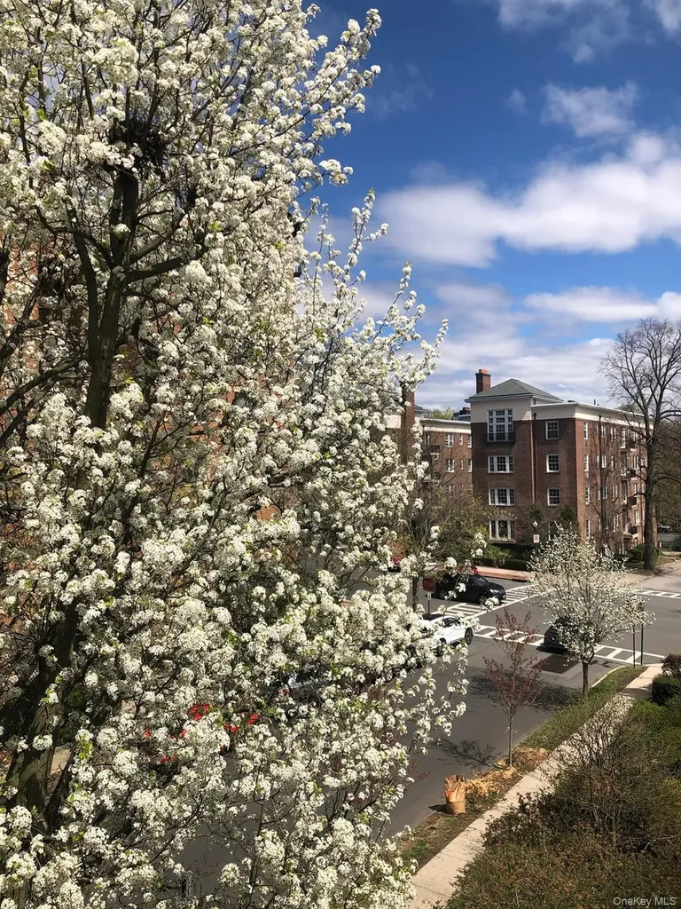 15 Meadow Avenue Bronxville NY 10708